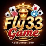 FLY33 Game