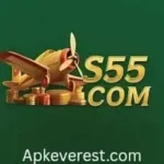 S55 Game