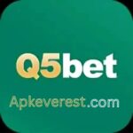 Q5Bet Game