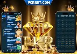 PKRBIT Game